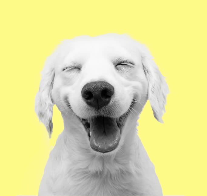 Happy music for YouTube Lickd